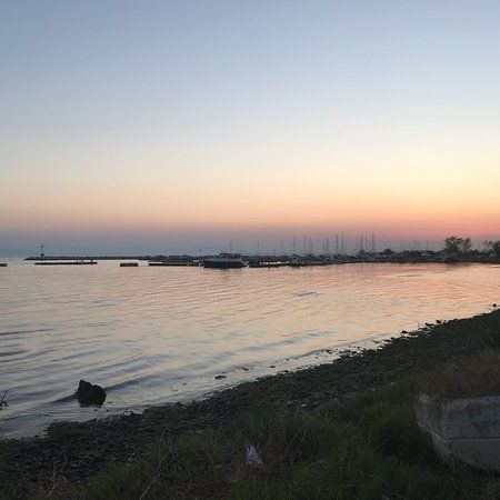 Νοησισ