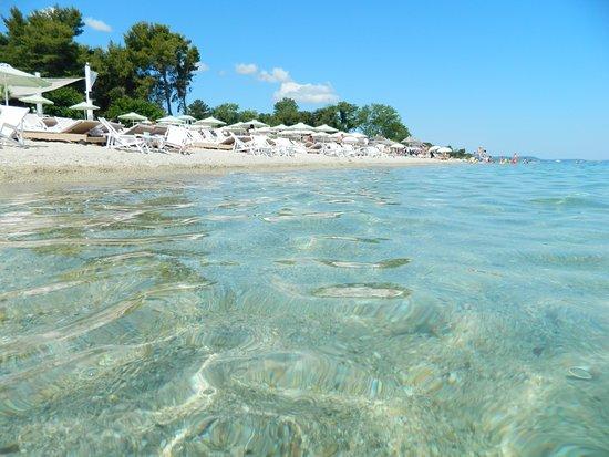 Παραλία Χανιώτη